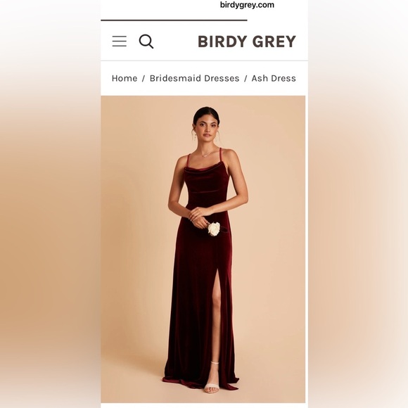 Birdy Grey Dresses & Skirts - Birdy Grey Cabernet Velvet Maxi Dress – Size Medium